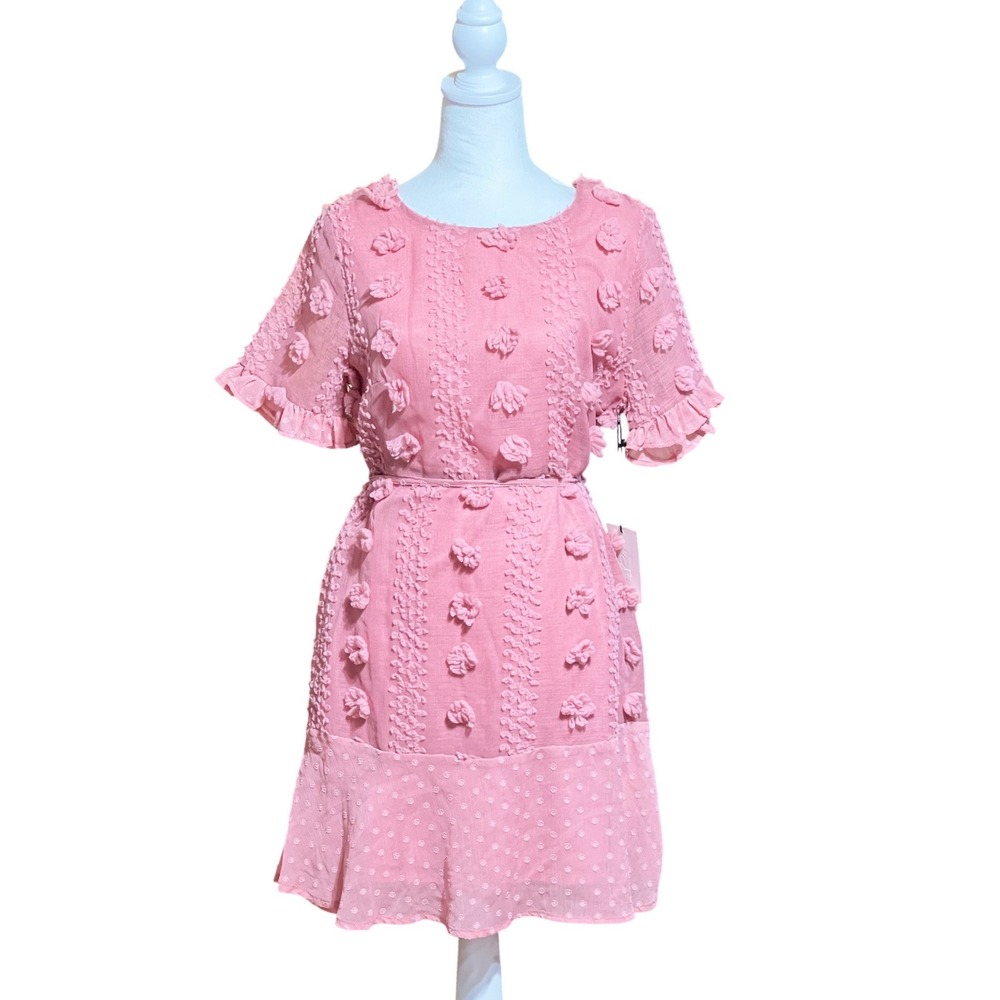 Andree by Unit Pink 3D Floral Pom Pom Swiss‎ Dot Ruffle Mini Dress Womens Medium